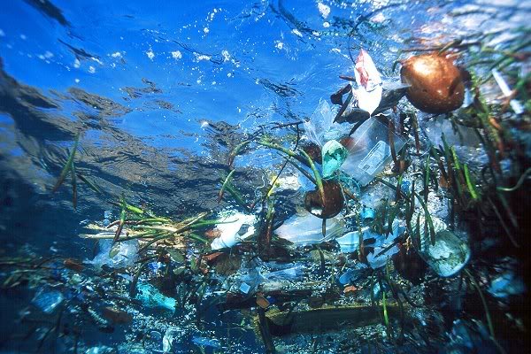 Things That Trash Our Ocean