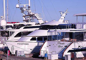 Yachts at Newmarks Yacht Centre Marina in Los Angeles